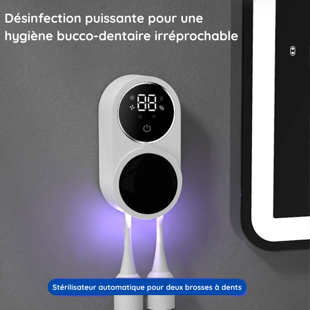 Nettoyeur brosse UV 2x